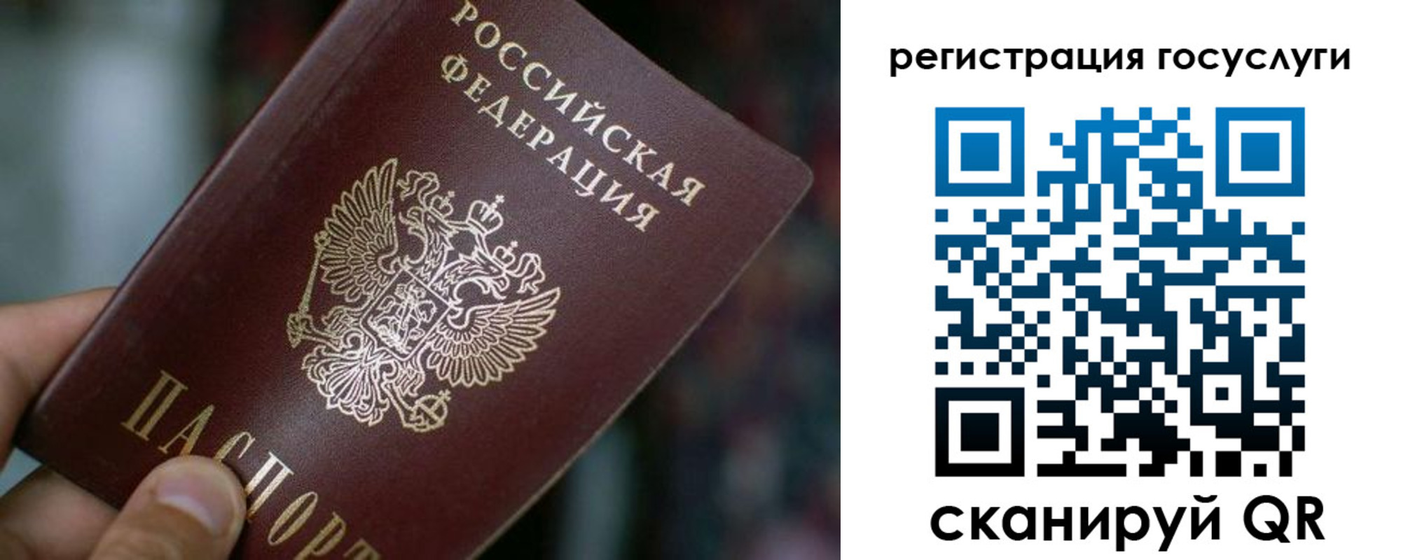 временная прописка в Фокино